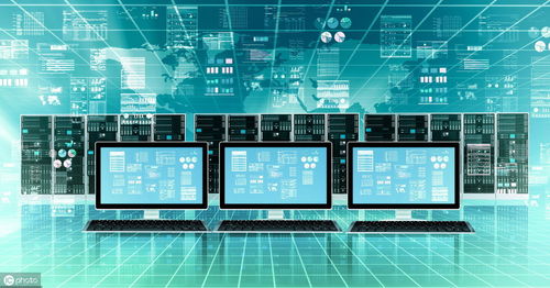 數據、信息與數據處理服務 數字化時代的核心概念